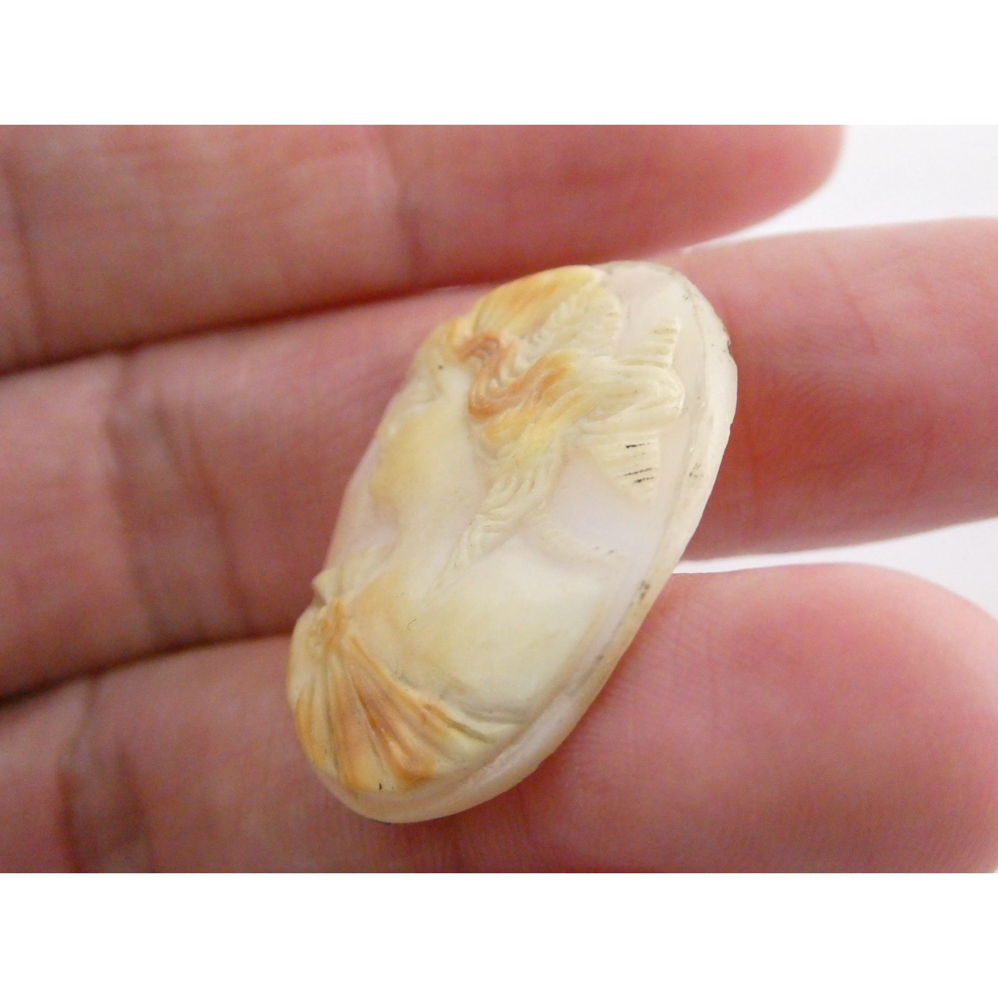 Vintage Loose Hand Carved Pale Shell Cameo Helmeted Woman Facing Left 29mm x22mm