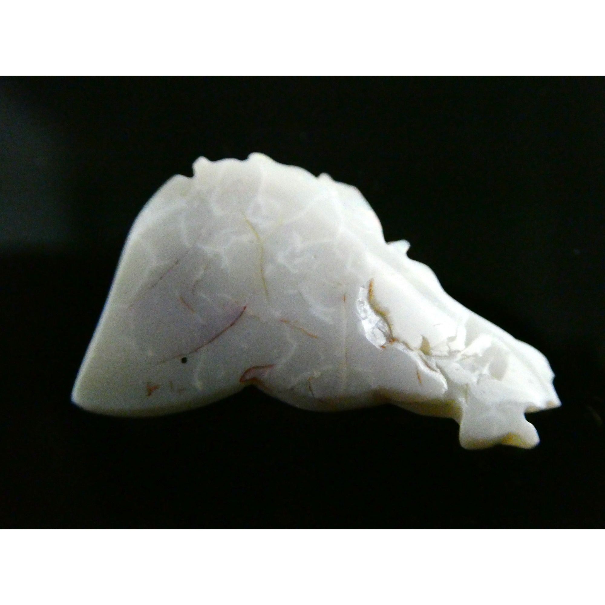 Carved Natural Opal Horse Head Specimen 2.2g Weight 11.3 Carats 26mm Length