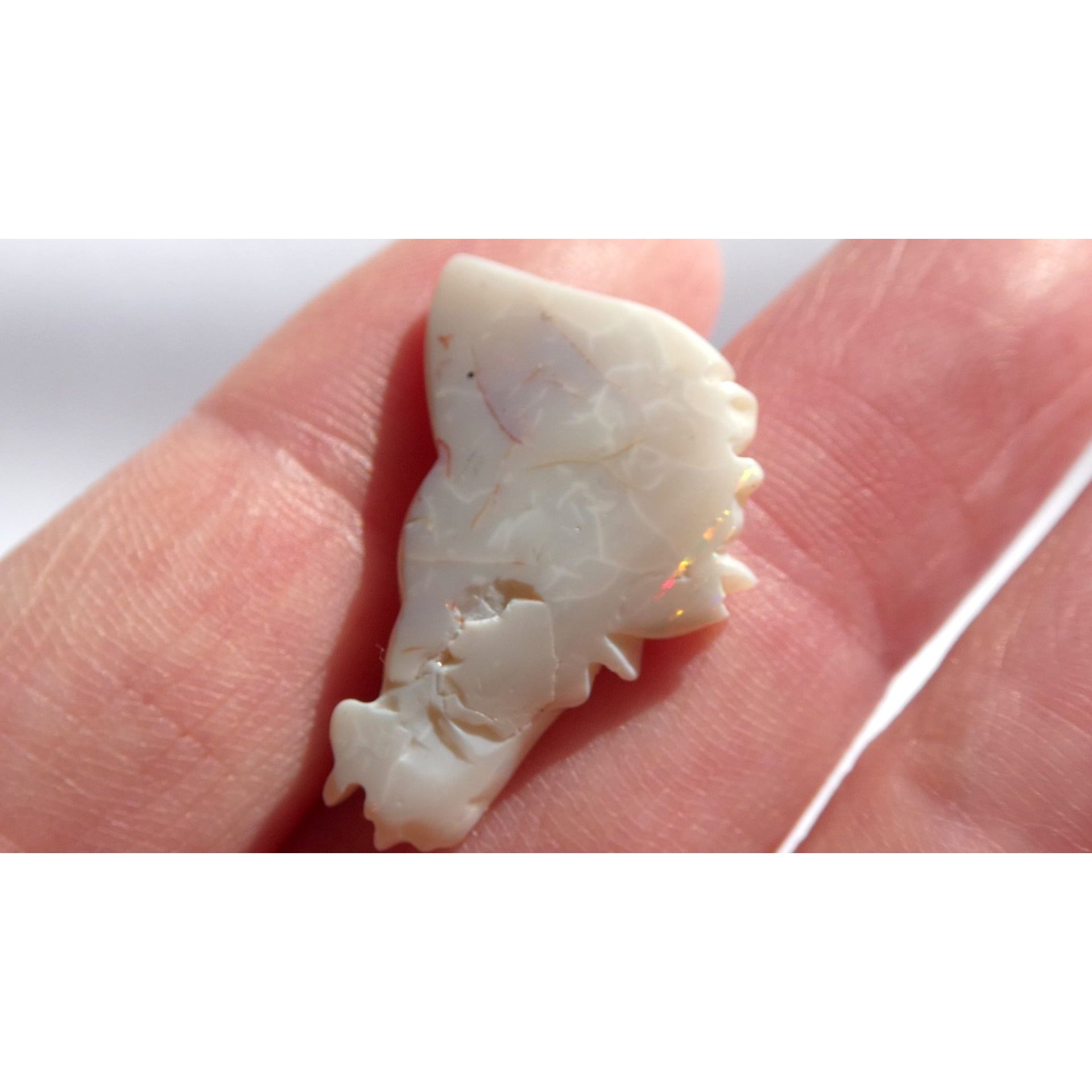 Carved Natural Opal Horse Head Specimen 2.2g Weight 11.3 Carats 26mm Length