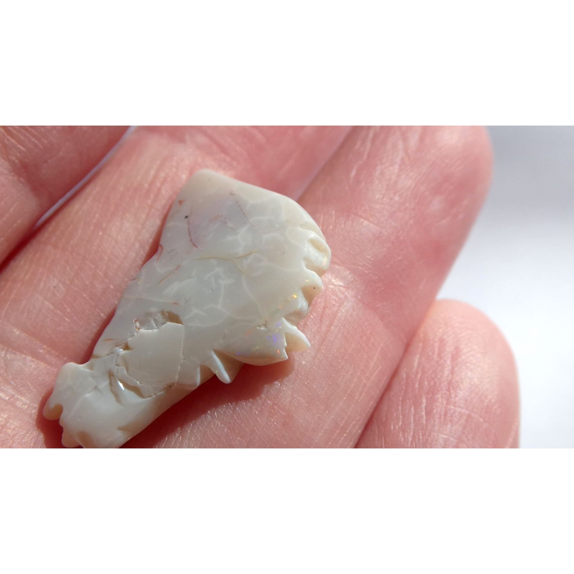 Carved Natural Opal Horse Head Specimen 2.2g Weight 11.3 Carats 26mm Length