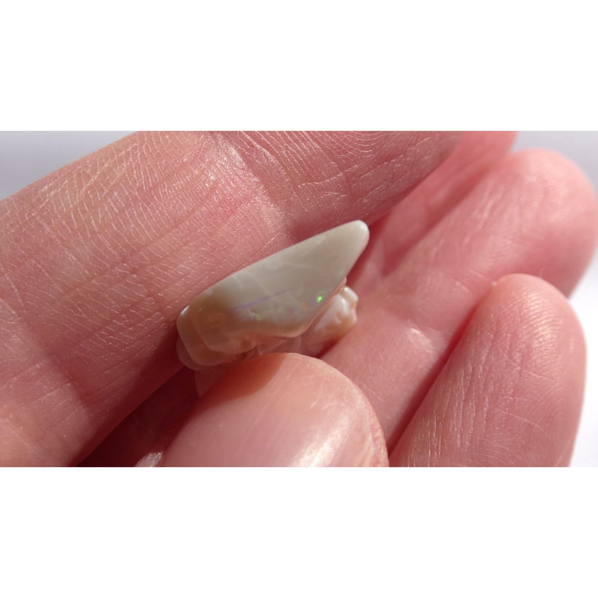 Carved Natural Opal Horse Head Specimen 2.2g Weight 11.3 Carats 26mm Length