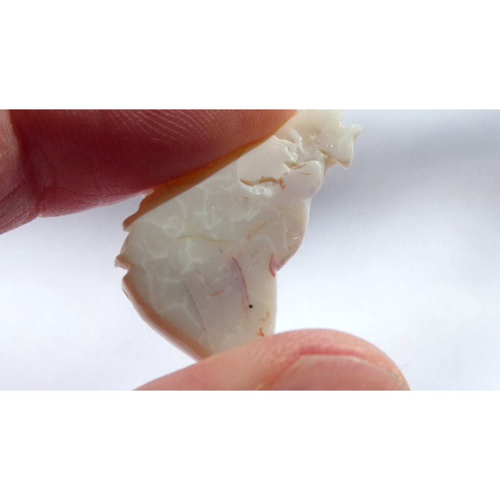 Carved Natural Opal Horse Head Specimen 2.2g Weight 11.3 Carats 26mm Length