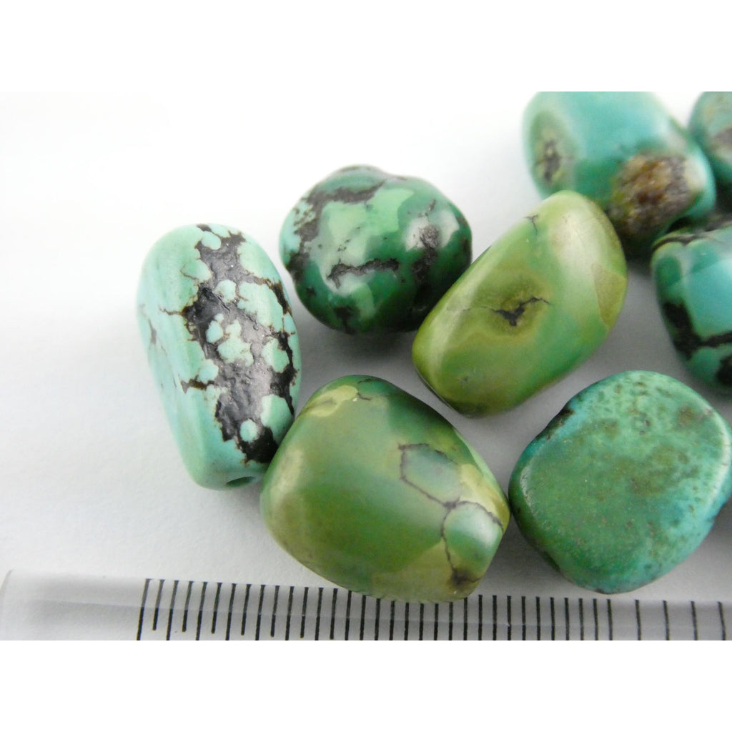 Group of 17 Loose Turquoise Drilled Beads Total Weight 23.3g Varied Sizes