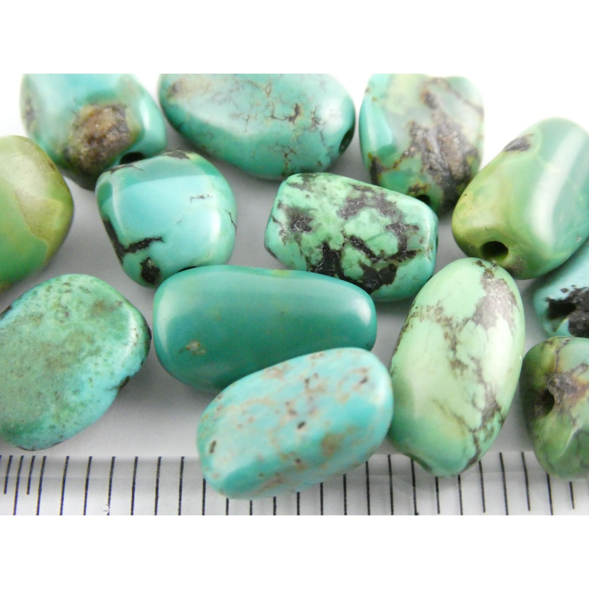 Group of 17 Loose Turquoise Drilled Beads Total Weight 23.3g Varied Sizes