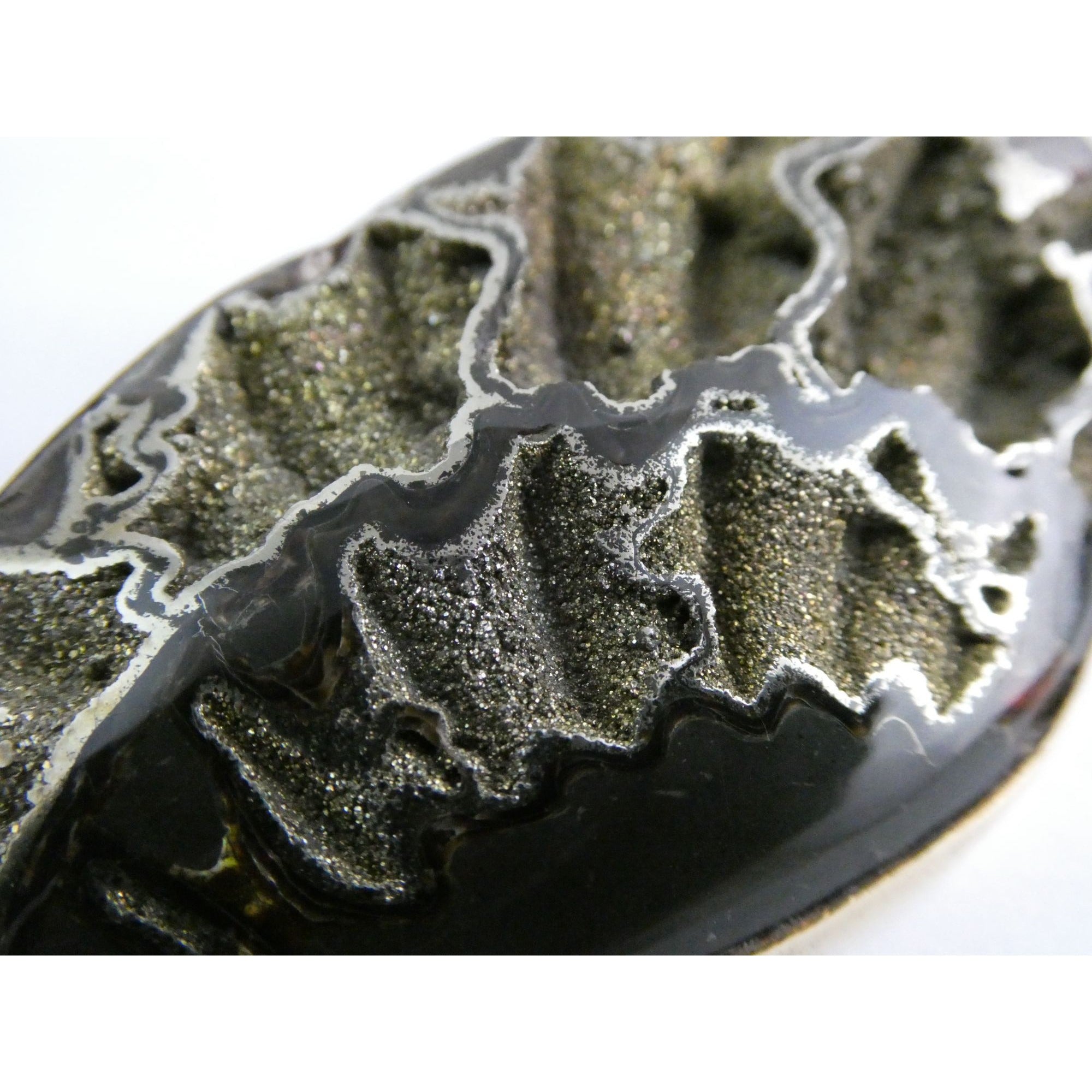 Stephen Dweck Bronze Pyritized Ammonite Fossil One of a Kind Brooch Pin 2002 43g