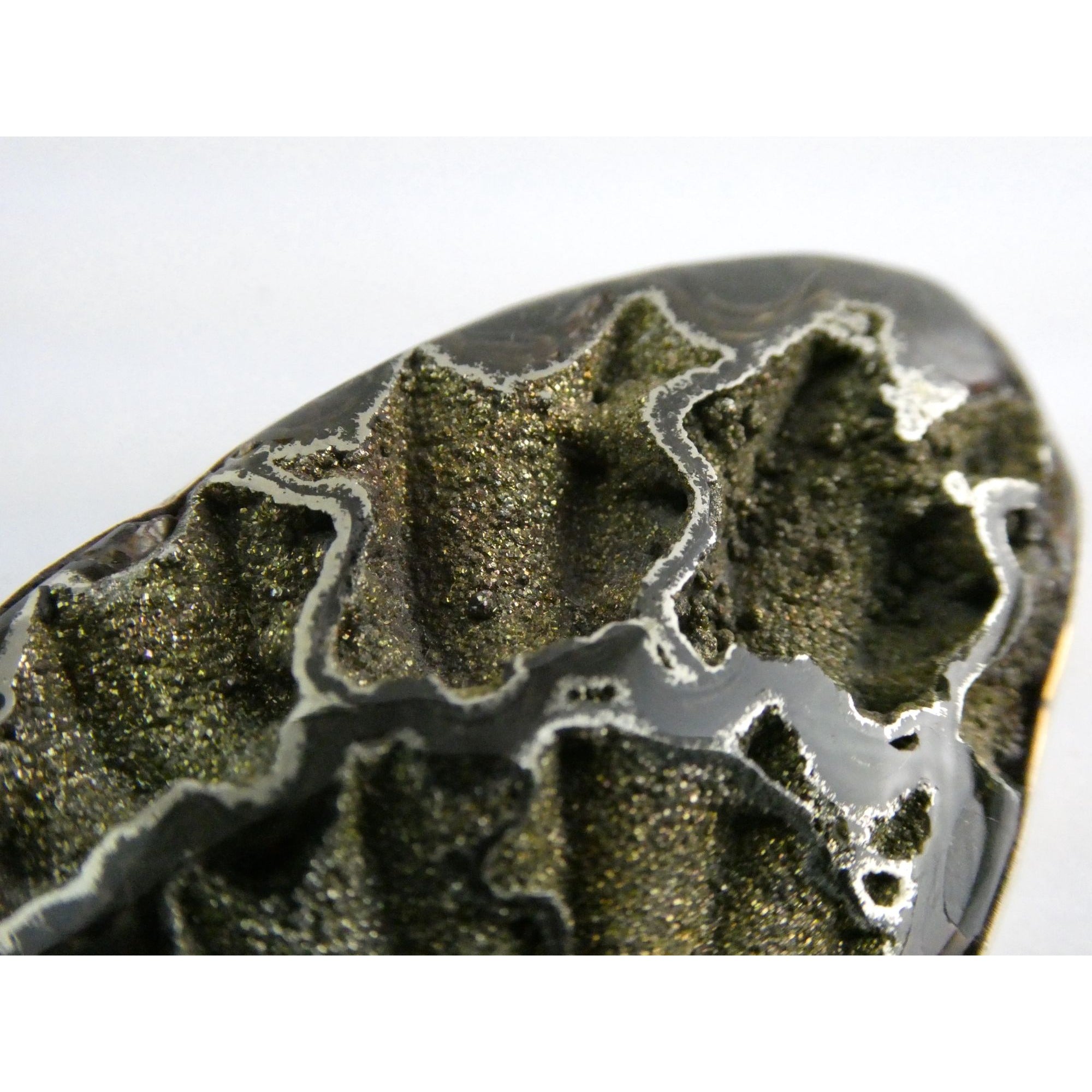 Stephen Dweck Bronze Pyritized Ammonite Fossil One of a Kind Brooch Pin 2002 43g