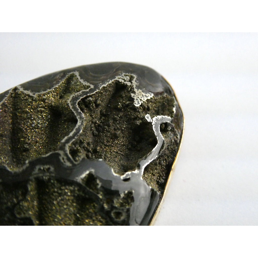 Stephen Dweck Bronze Pyritized Ammonite Fossil One of a Kind Brooch Pin 2002 43g