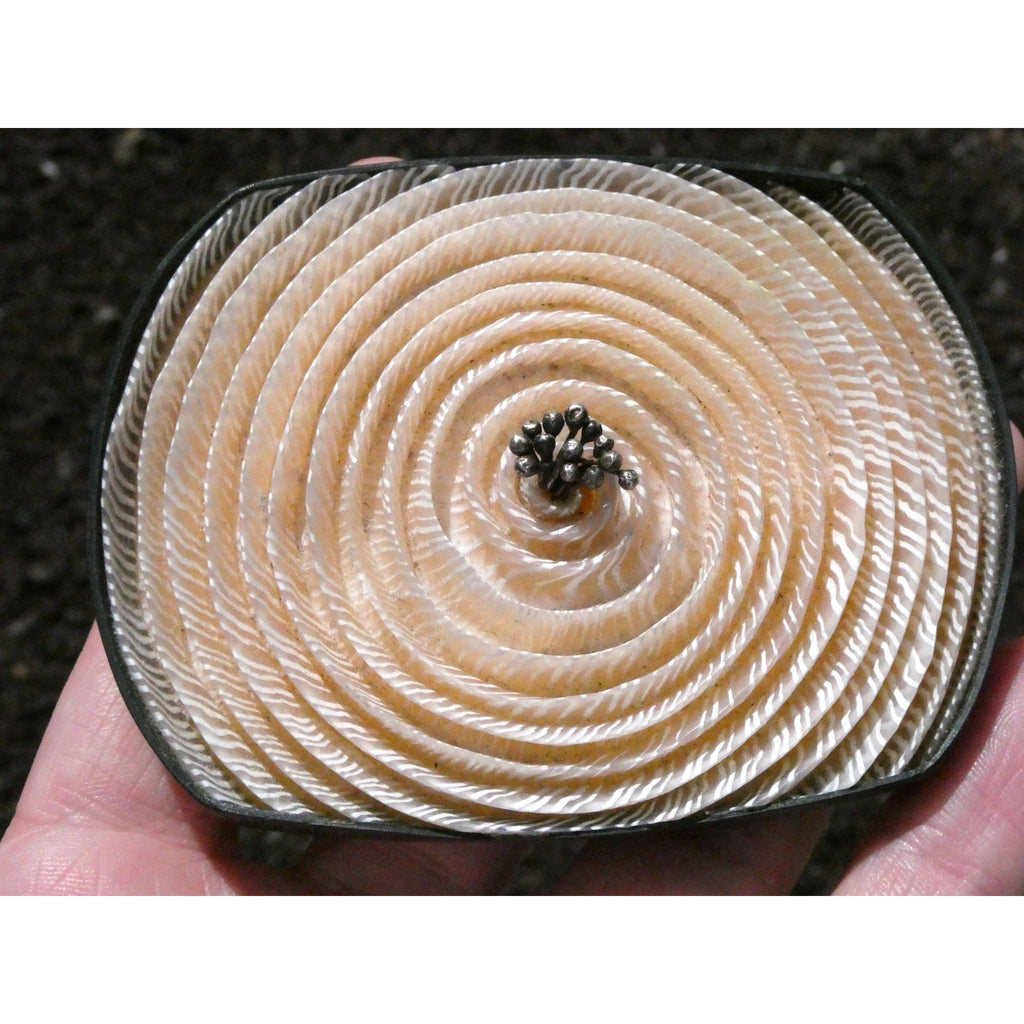 Kathleen Dustin 2012 Shell Spiral Objet D Art Brooch Pin Signed Handmade Artisan