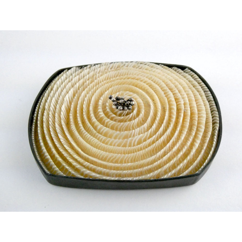 Kathleen Dustin 2012 Shell Spiral Objet D Art Brooch Pin Signed Handmade Artisan