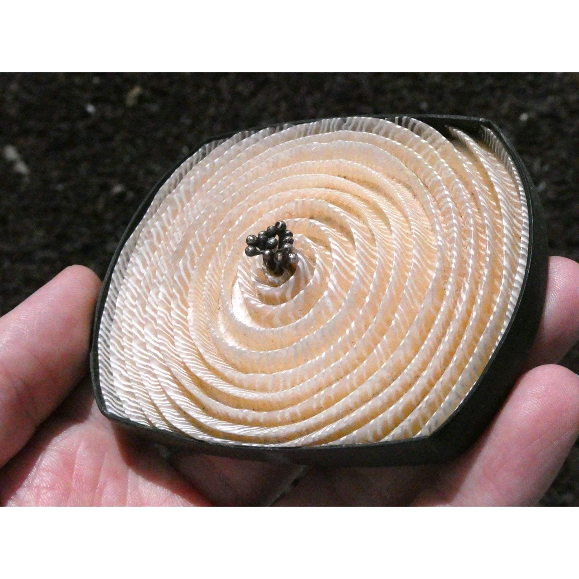 Kathleen Dustin 2012 Shell Spiral Objet D Art Brooch Pin Signed Handmade Artisan