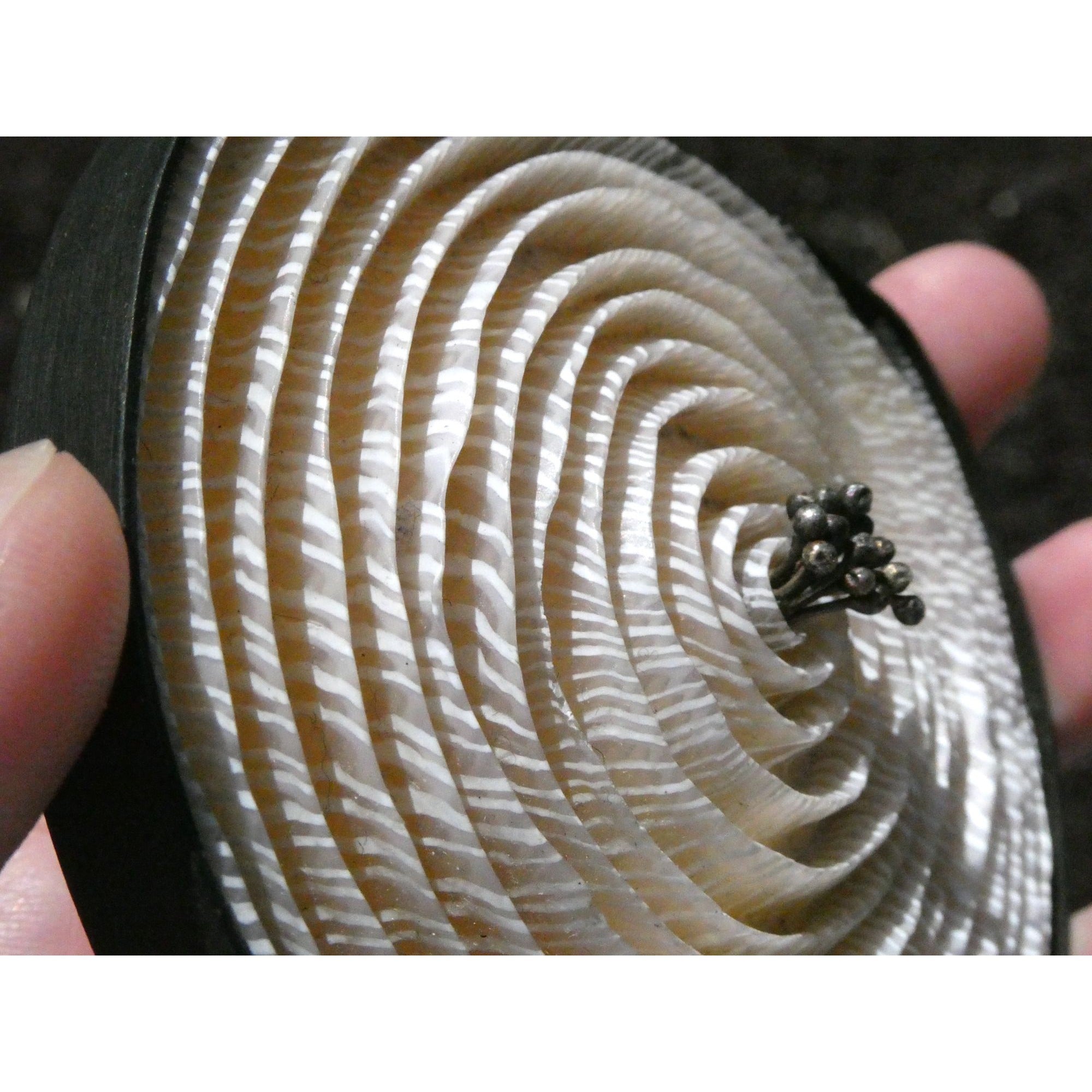 Kathleen Dustin 2012 Shell Spiral Objet D Art Brooch Pin Signed Handmade Artisan