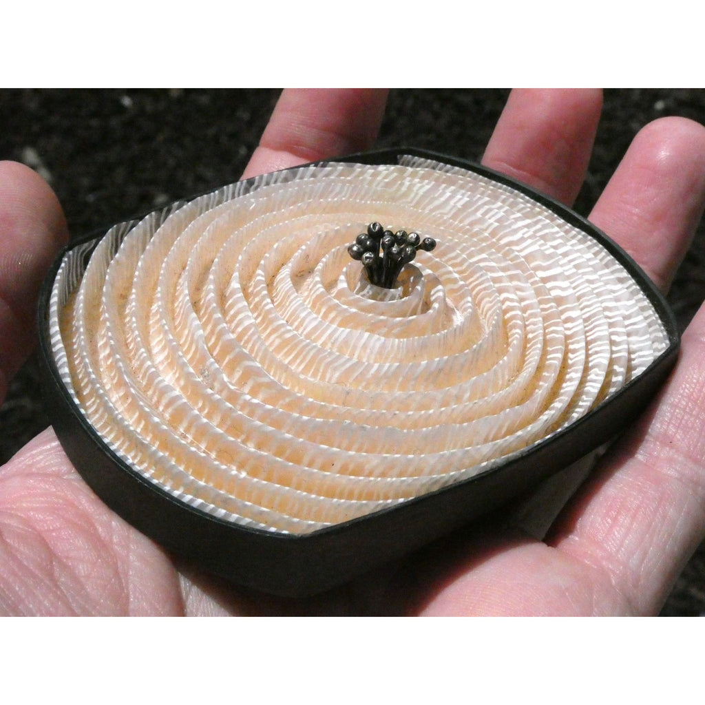 Kathleen Dustin 2012 Shell Spiral Objet D Art Brooch Pin Signed Handmade Artisan