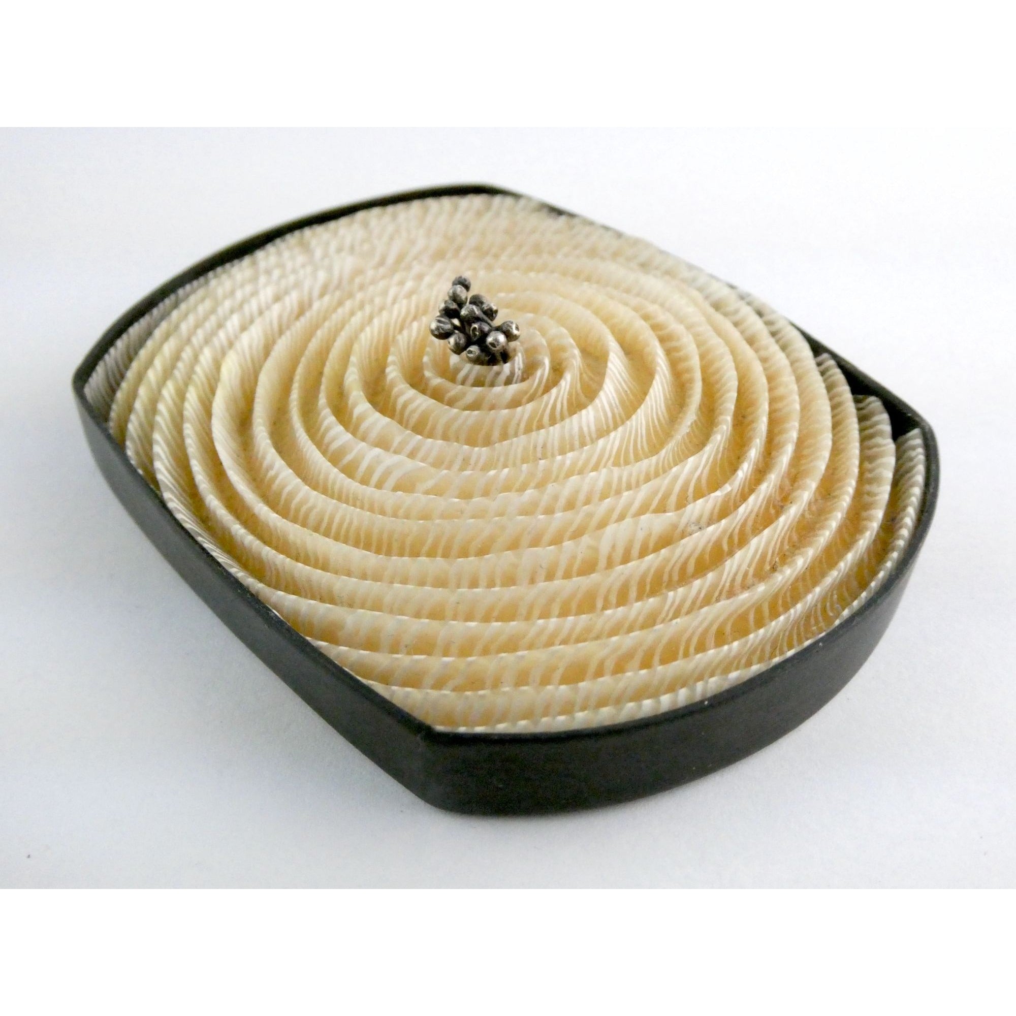 Kathleen Dustin 2012 Shell Spiral Objet D Art Brooch Pin Signed Handmade Artisan