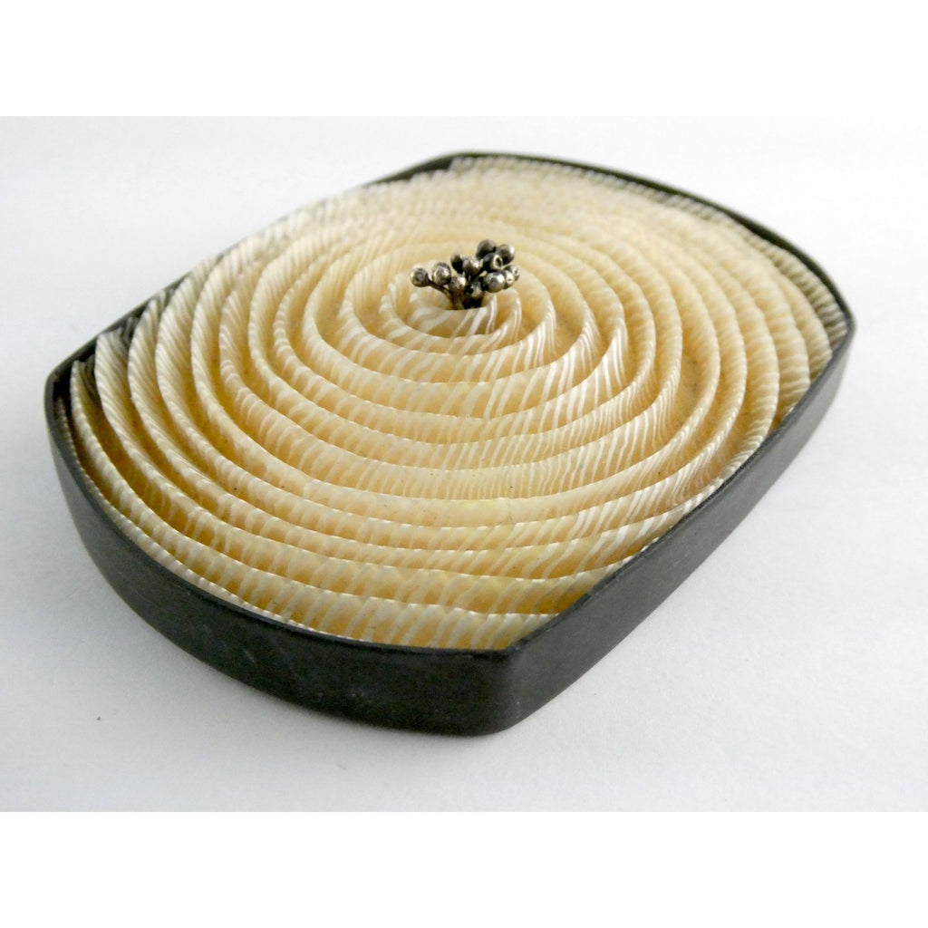 Kathleen Dustin 2012 Shell Spiral Objet D Art Brooch Pin Signed Handmade Artisan