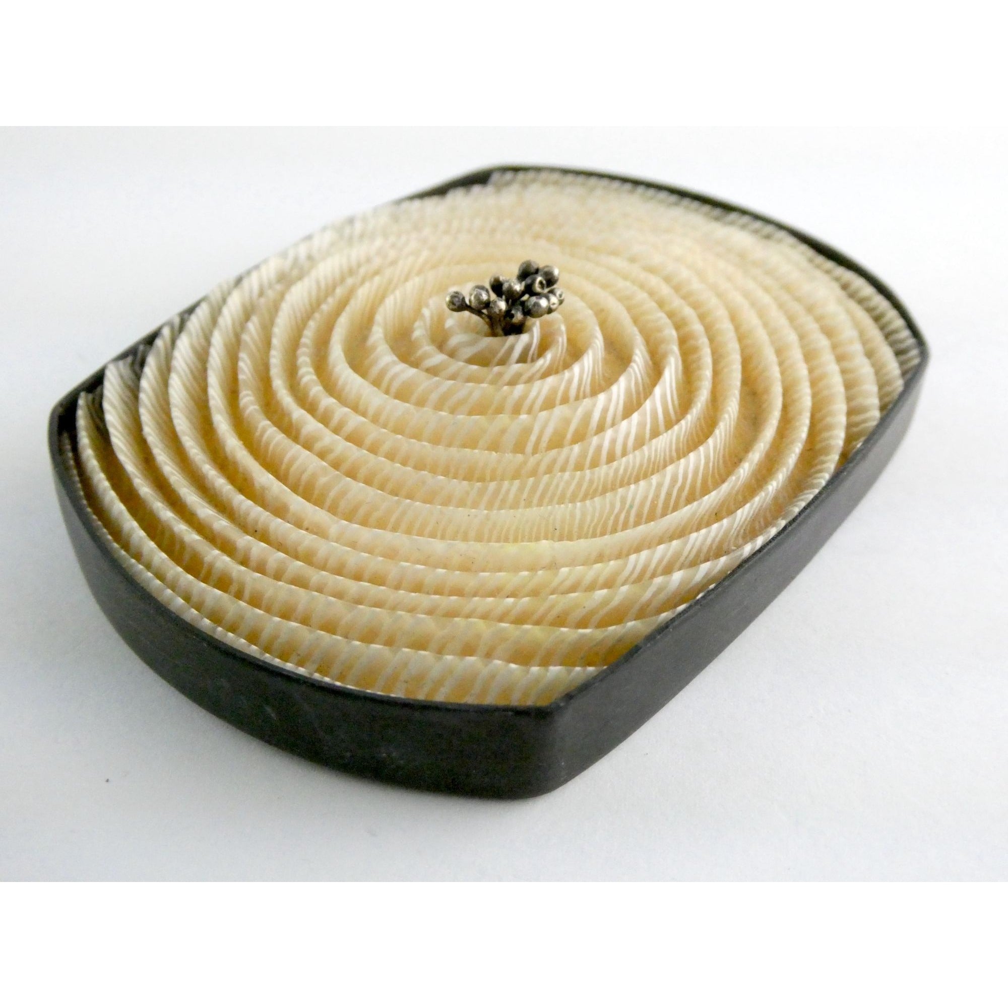 Kathleen Dustin 2012 Shell Spiral Objet D Art Brooch Pin Signed Handmade Artisan