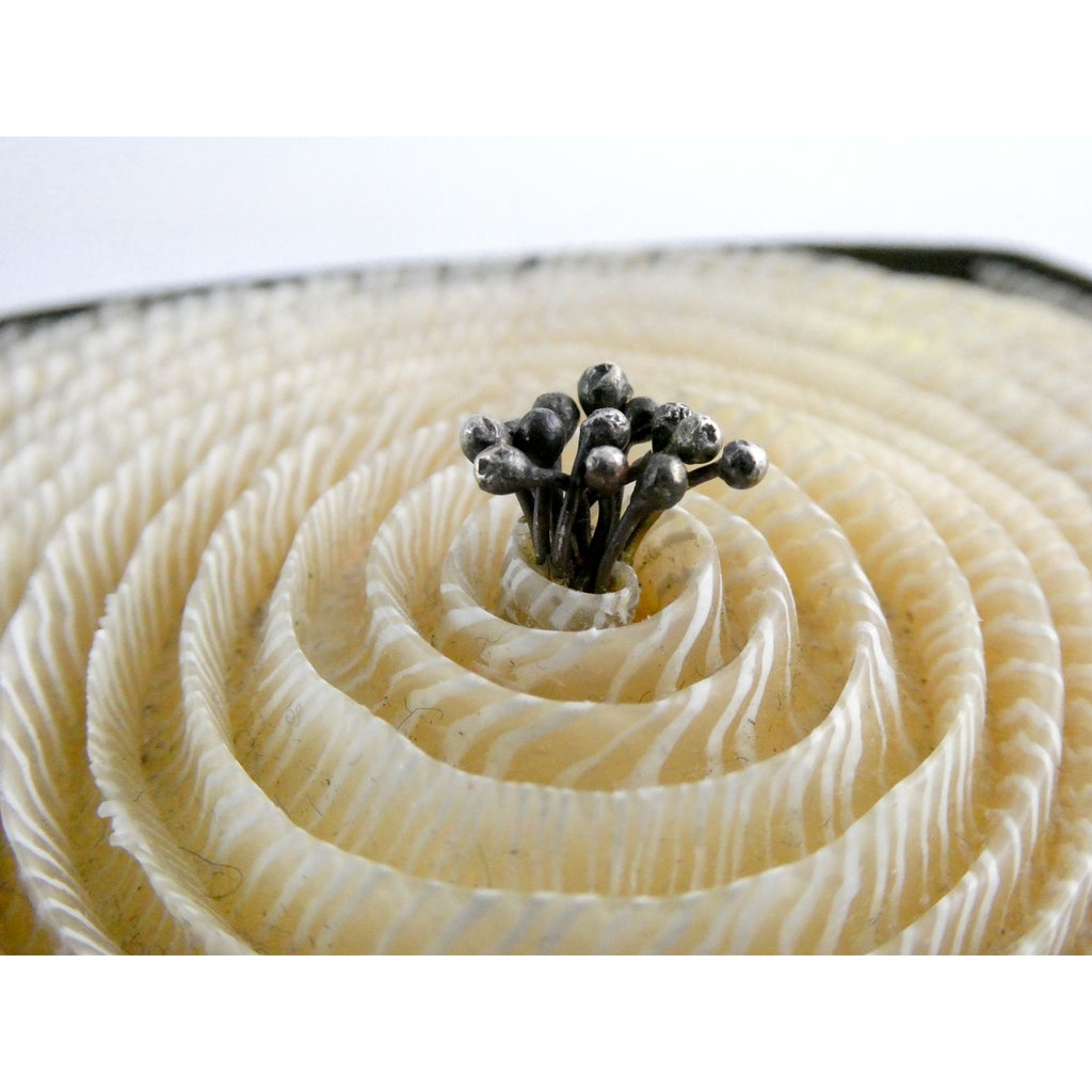 Kathleen Dustin 2012 Shell Spiral Objet D Art Brooch Pin Signed Handmade Artisan