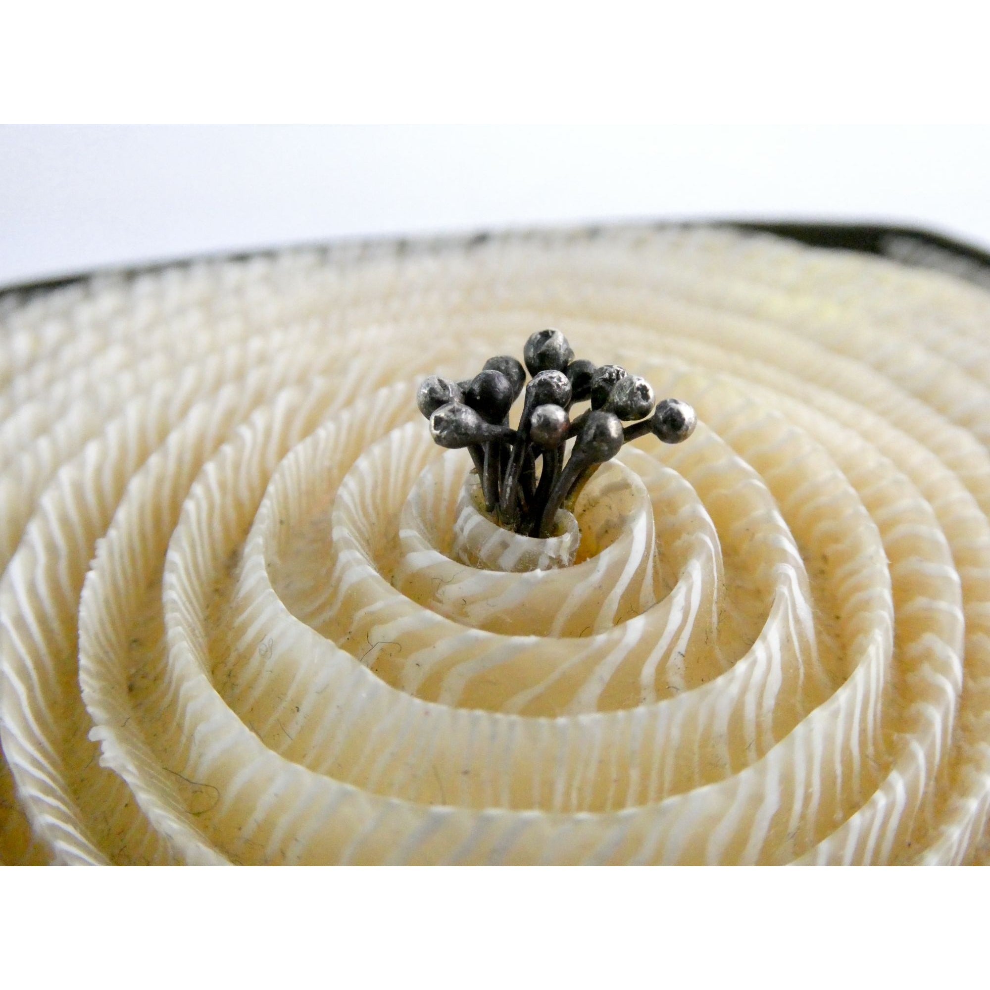 Kathleen Dustin 2012 Shell Spiral Objet D Art Brooch Pin Signed Handmade Artisan