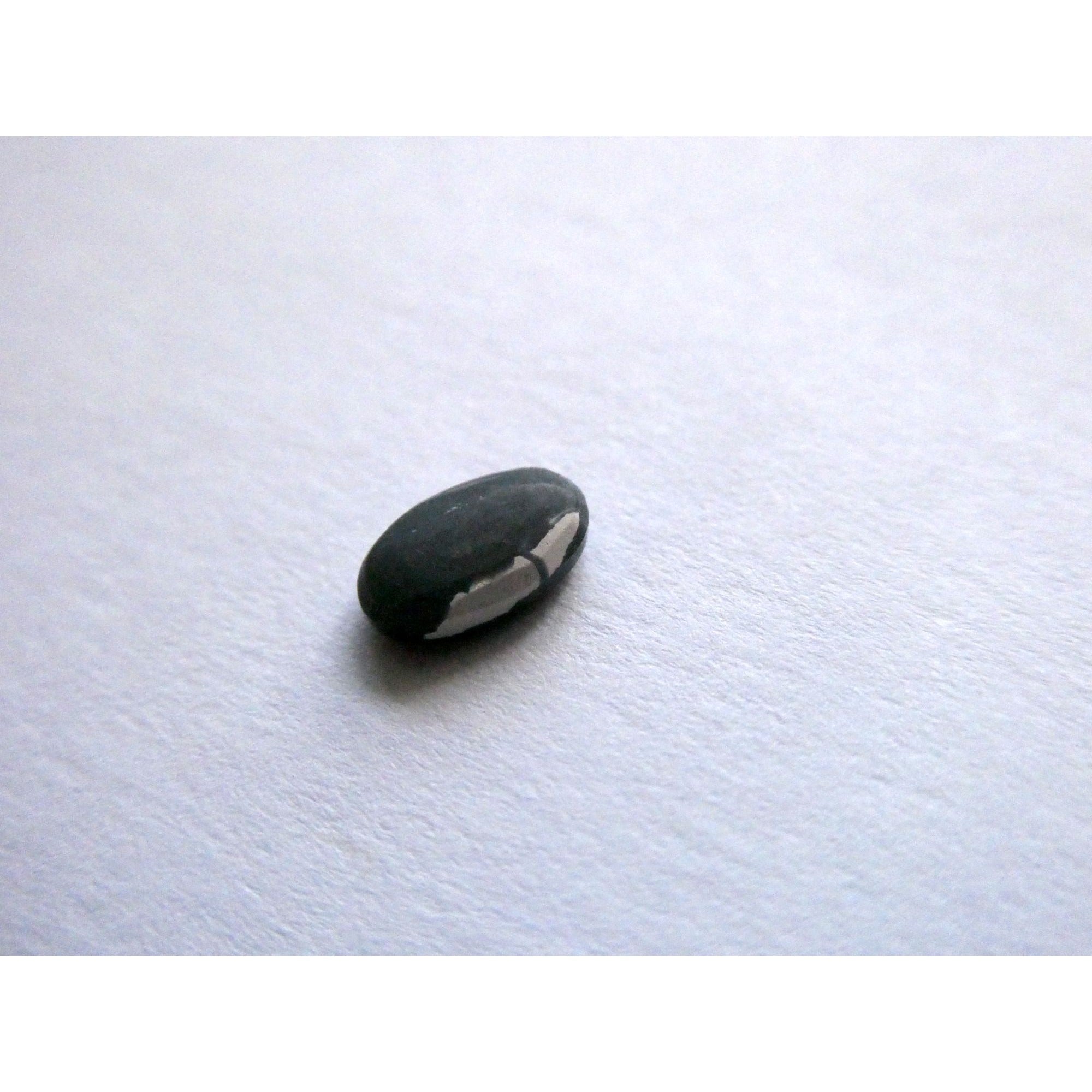 Australian Polished and Cut Freeform Opal Cabochon .42 CT Weight 7.11mm x 4.50mm