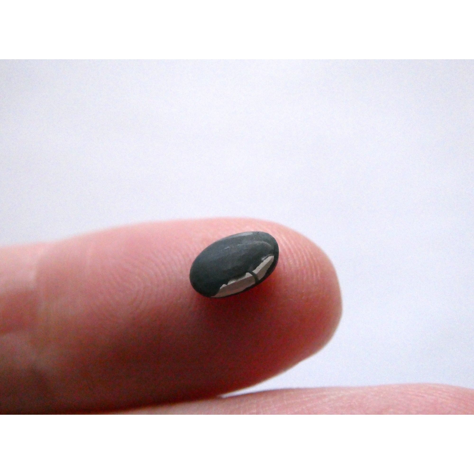 Australian Polished and Cut Freeform Opal Cabochon .42 CT Weight 7.11mm x 4.50mm