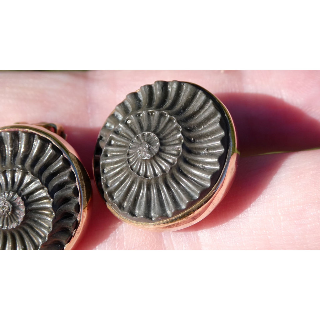 Stephen Dweck Bronze Ammonite Fossil One of a Kind Clip on Earrings 2002 22mm