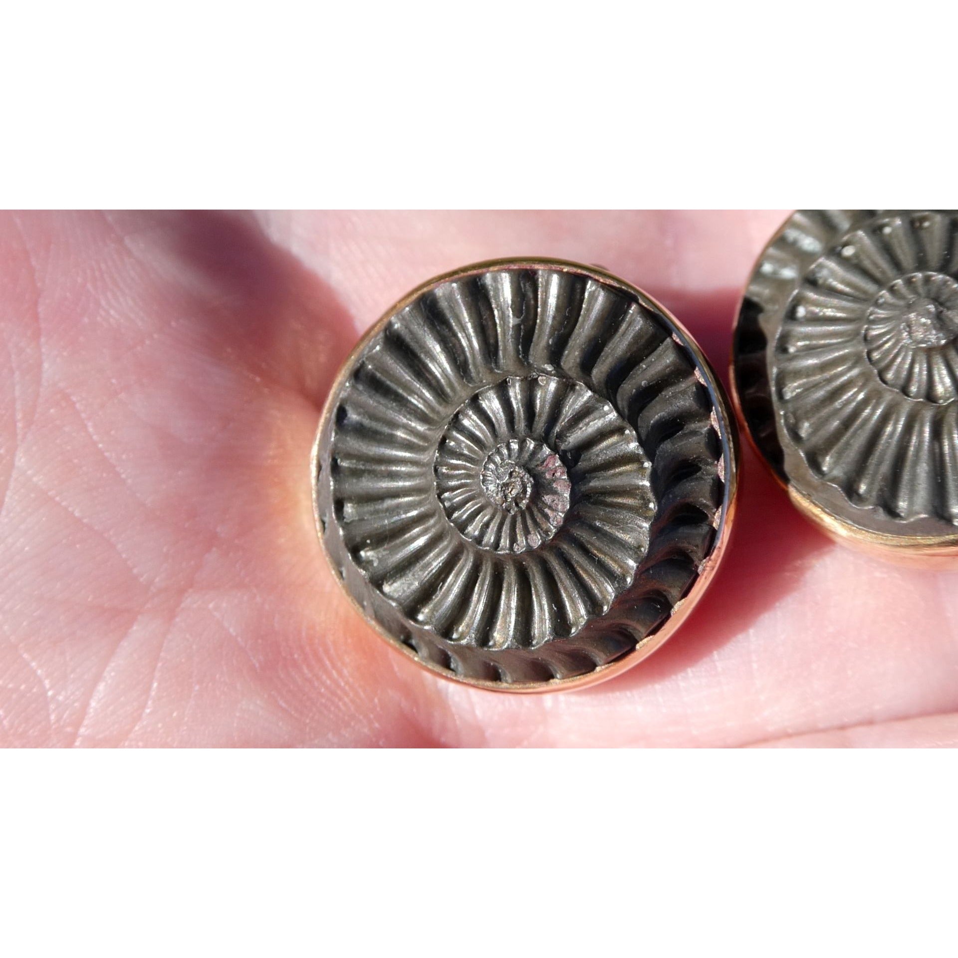 Stephen Dweck Bronze Ammonite Fossil One of a Kind Clip on Earrings 2002 22mm