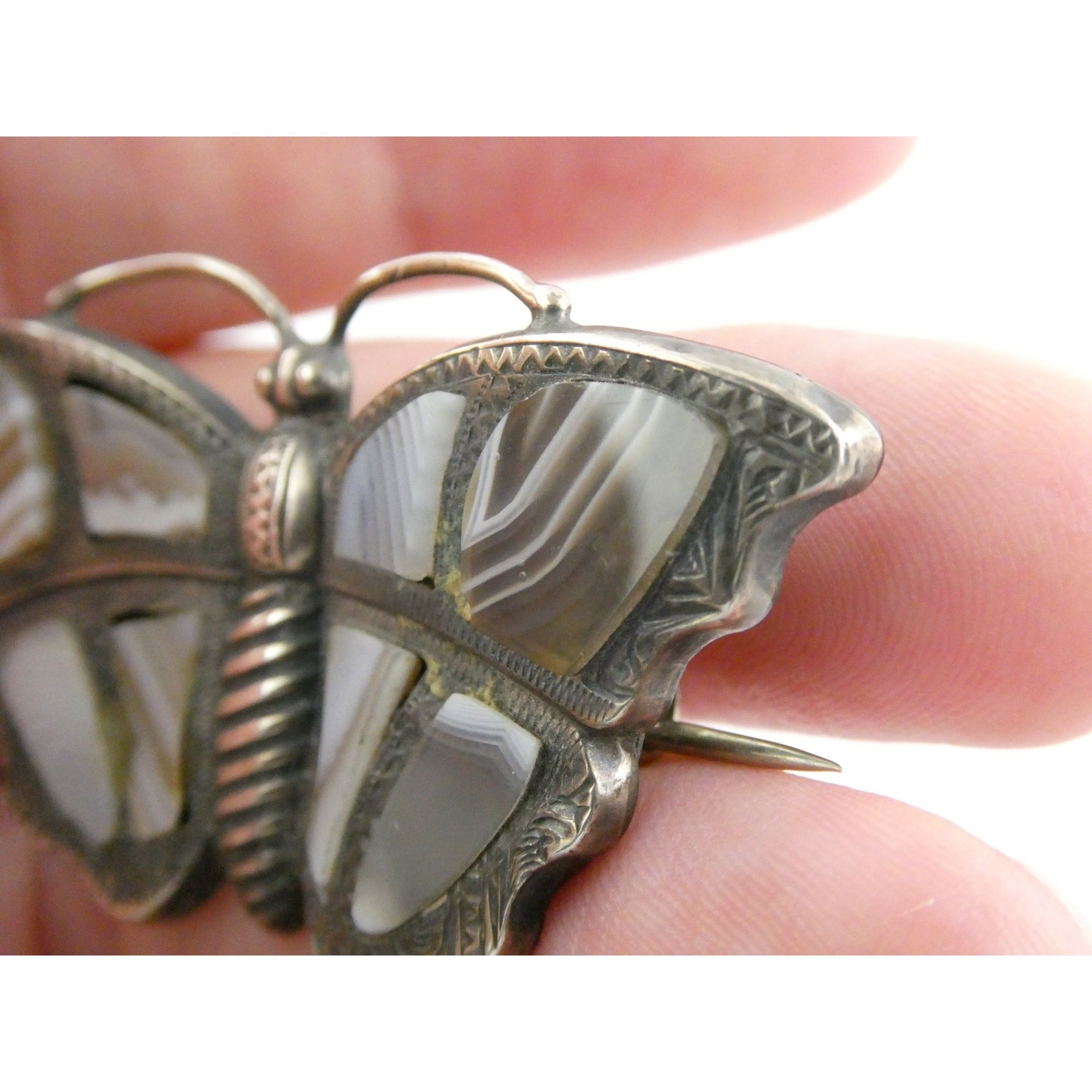 Antique Victorian Sterling Silver Montrose Agate Butterfly Brooch Pin 7.7g 2 In