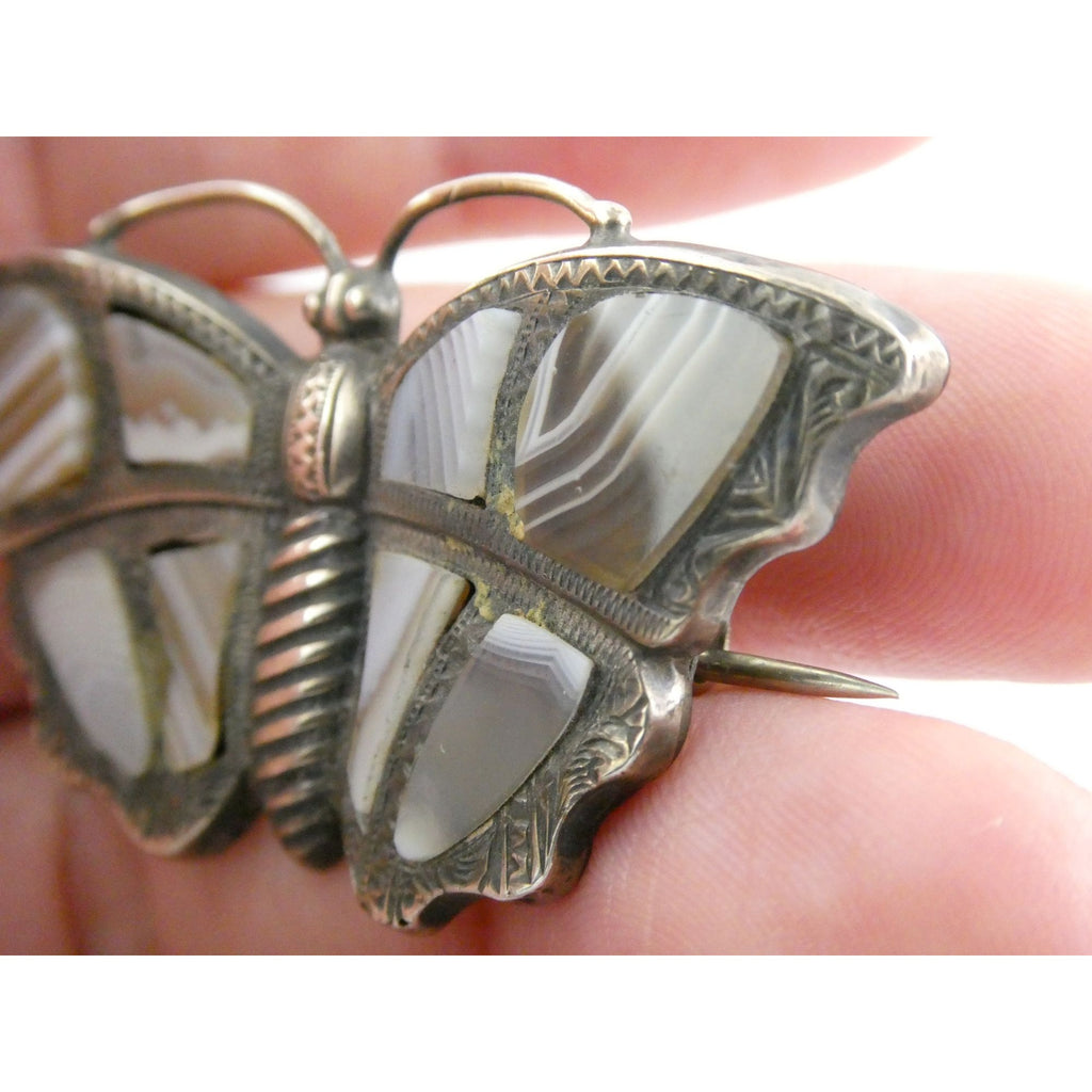 Antique Victorian Sterling Silver Montrose Agate Butterfly Brooch Pin 7.7g 2 In